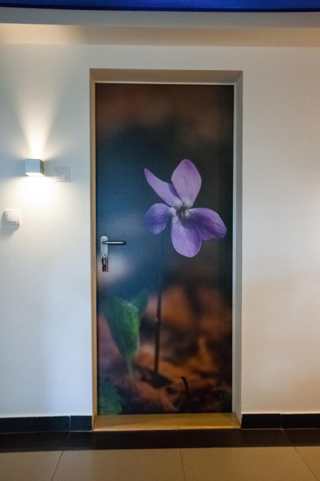 Vila Plamenac Divčibare Kültér fotó